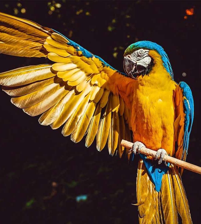 Brani tratti dal libro 2